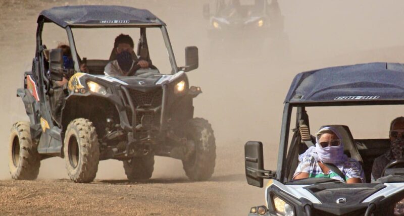 Lanzarote: 3 Hour Buggy Tour With Views of the Volcano Park - Key Points