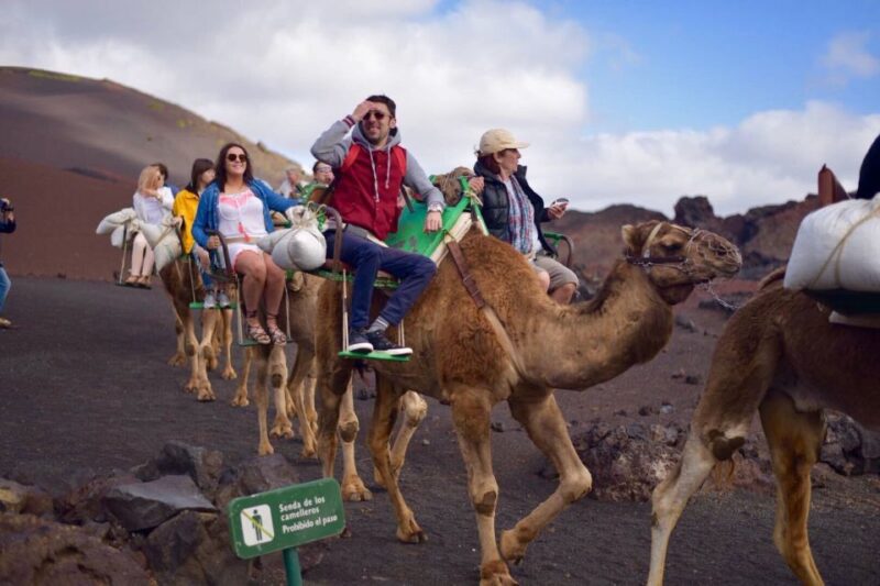 Lanzarote: 5-Hour Timanfaya National Park Southern Tour - Booking and Cancellation Policies