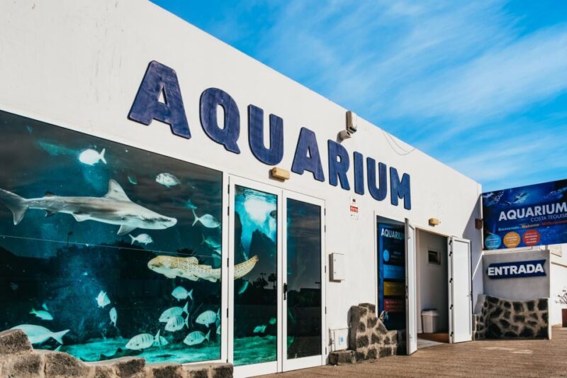 Lanzarote: Aquarium Entry Ticket - Underwater Tunnel and Shark Observation