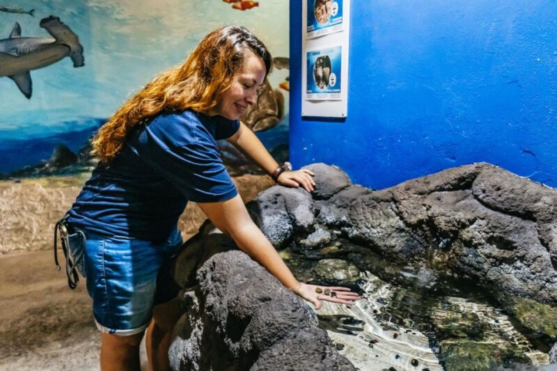 Lanzarote: Aquarium Entry Ticket - Conservation and Environmental Awareness