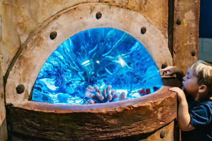 Lanzarote: Aquarium Entry Ticket - Visitor Ratings and Feedback