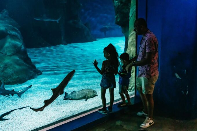 Lanzarote: Aquarium Entry Ticket - Meeting Point and Languages Spoken