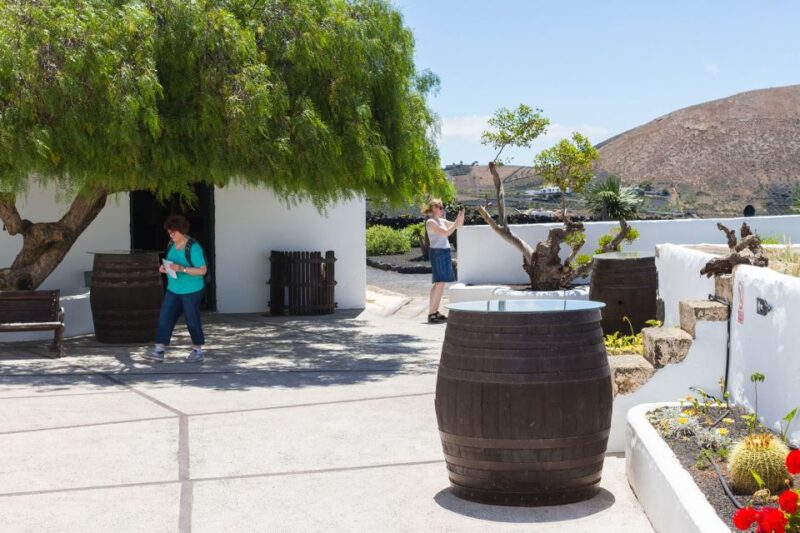Lanzarote: Audio Guided Tour of the El Grifo Wine Museum - Key Points