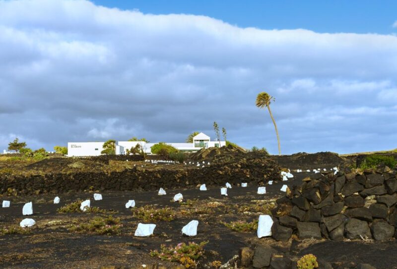 Lanzarote: Audio Guided Tour of the El Grifo Wine Museum - Museum Features