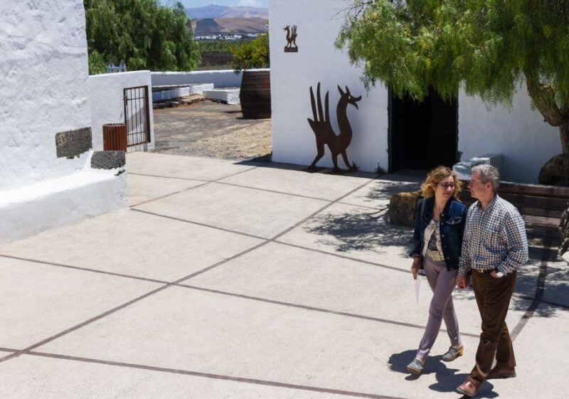 Lanzarote: Audio Guided Tour of the El Grifo Wine Museum - Discovering Volcanic Ash-Covered Vineyards