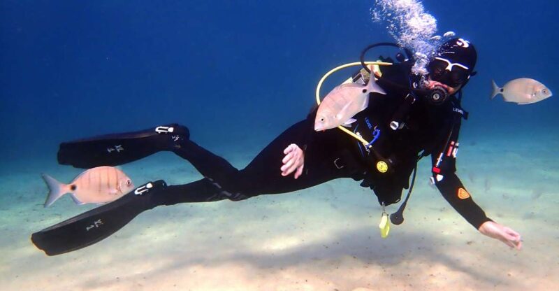 Lanzarote: Beginner Diving Course Costa Teguise (2 Dives) - Pricing