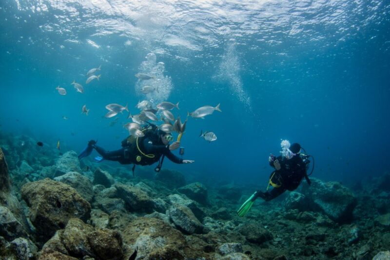 Lanzarote: Beginner Scuba Diving From the Beach - Booking and Reservation Process
