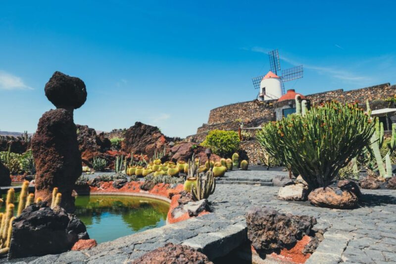 Lanzarote: César Manrique Full-Day Tour - Jameos Del Agua Cave