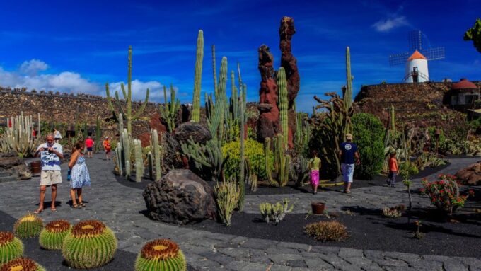 Lanzarote Coast-2-Coast Tour - Exploring La Graciosa