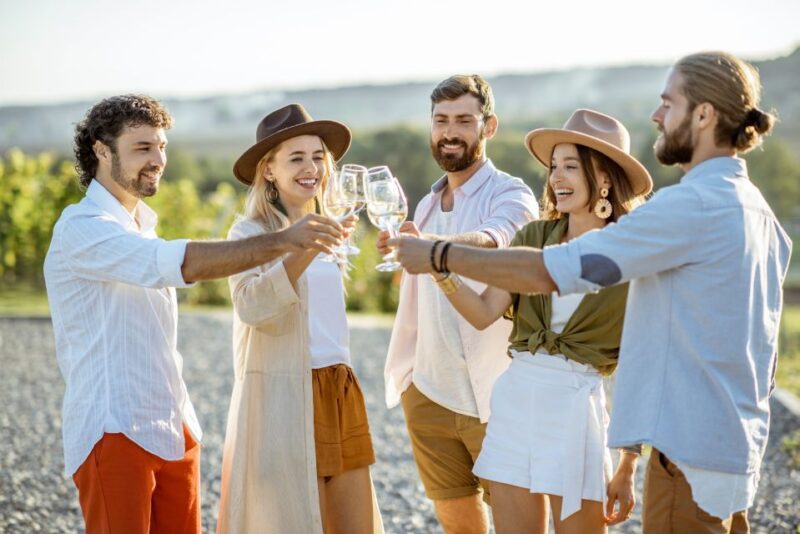 Lanzarote: Day Tour for Cruise Passengers - La Geria Wine Tasting