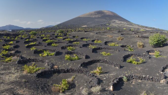 Lanzarote: Day Tour for Cruise Passengers - Timanfaya National Park