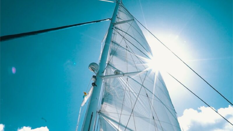 Lanzarote: Dolphin-Watching Sunset Cruise With Transfers - Experience Details