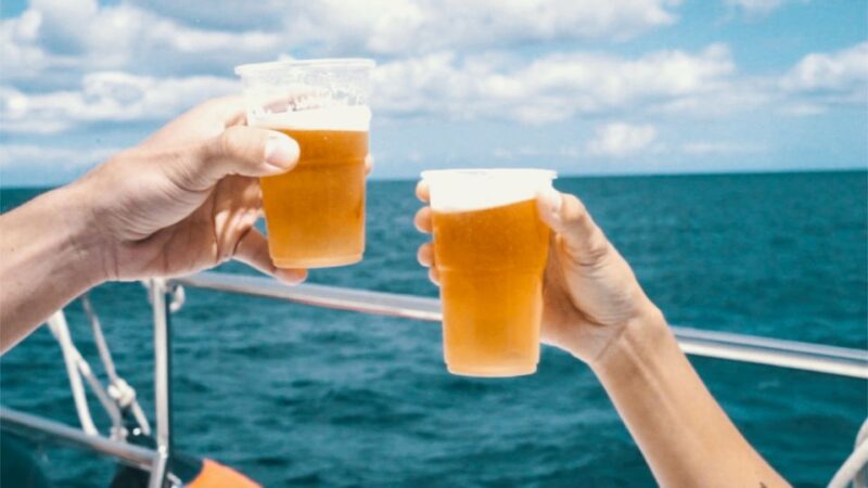 Lanzarote: Dolphin-Watching Sunset Cruise With Transfers - Recommendations for Guests