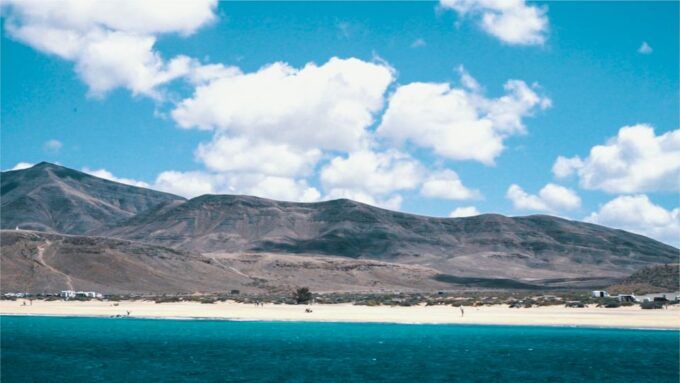 Lanzarote: Dolphin-Watching Sunset Cruise With Transfers - Dietary Accommodations