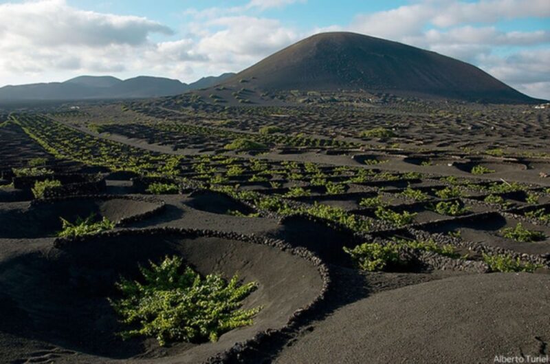 Lanzarote: Full Day Bus Tour With Scenic Views - Pickup and Dropoff