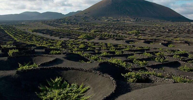 Lanzarote: Full Day Bus Tour With Scenic Views - Tour Highlights