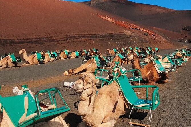 Lanzarote Grand Tour - Volcanic Landscapes