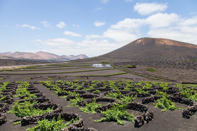 Lanzarote Grand Tour - Green Lagoon Experience