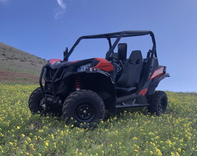 Lanzarote: Guided Can-Am Trail Buggy Tour - Can-Am Trail Buggy Details