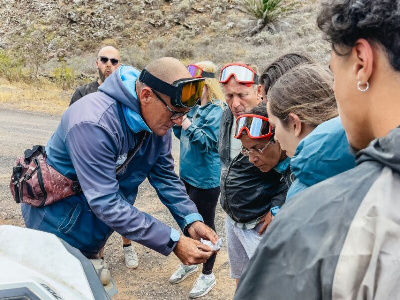 Lanzarote: Guided Off-Road Volcano Buggy Tour With Pickup - Key Points