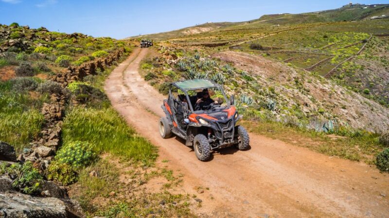 Lanzarote: Guided Off-Road Volcano Buggy Tour With Pickup - Highlights of the Tour