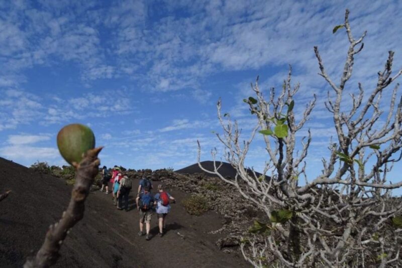 Lanzarote: Hike Across Timanfaya's Volcanic Landscapes - Group Size and Languages