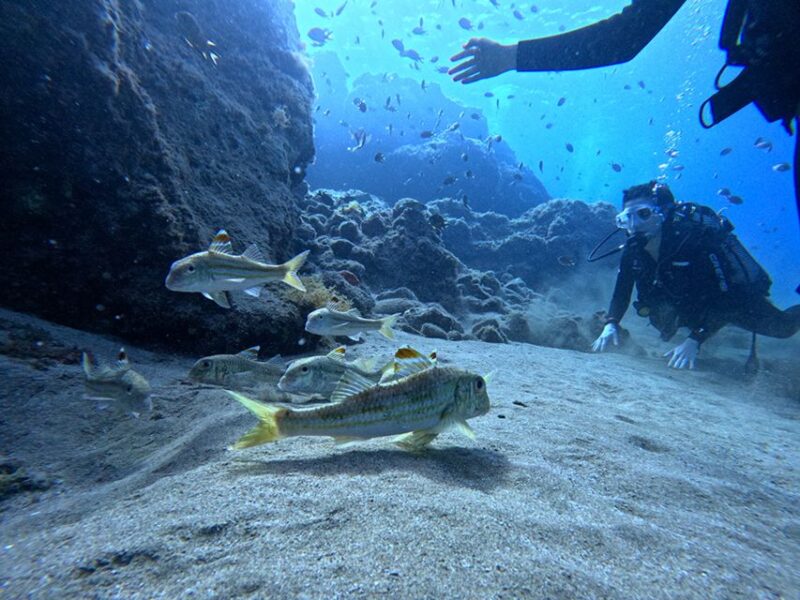 Lanzarote: Intro to Diving Experience for Beginners - Scuba Diving Equipment Provided