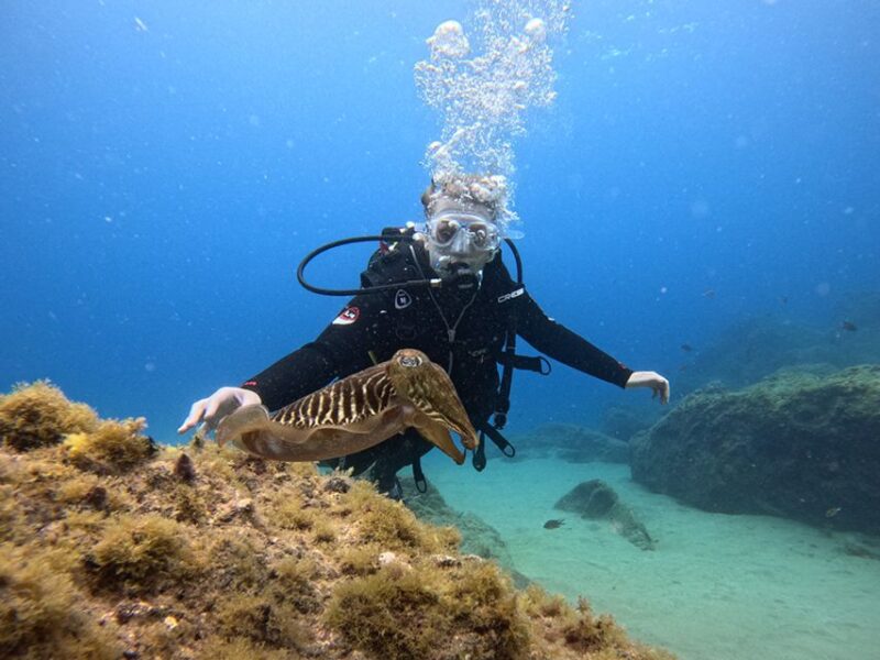Lanzarote: Intro to Diving Experience for Beginners - Encounter Marine Life