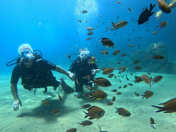 Lanzarote: Intro to Diving Experience for Beginners - Accessibility and Restrictions
