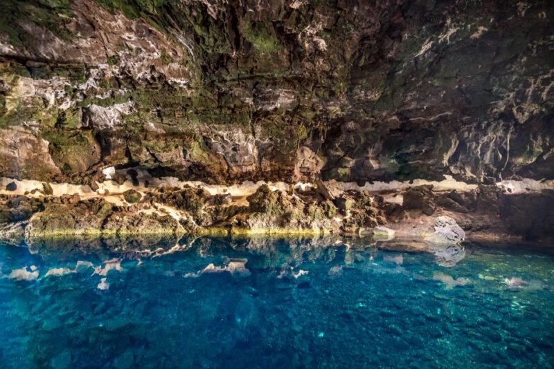 Lanzarote: Jameos Del Agua Entry Ticket - Customer Reviews and Ratings