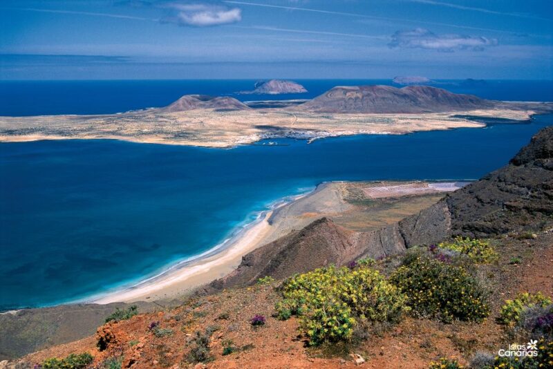 Lanzarote: Jameos Del Agua & North Island for Cruise Guests - Important Information for Participants