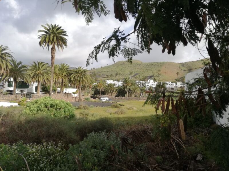 Lanzarote: Jameos Del Agua & North Island for Cruise Guests - Departure and Meeting Point