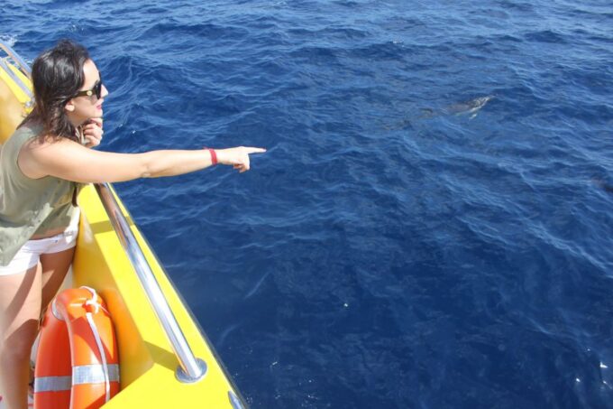 Lanzarote: Lobos Island Half-Day Dolphin Watching Trip - What to Bring