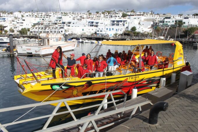 Lanzarote: Lobos Island Half-Day Dolphin Watching Trip - Wildlife Sightings