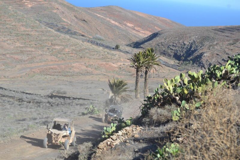 Lanzarote: Mix Tour Guided Buggy Volcano Tour 4 Seater - Booking and Cancellation