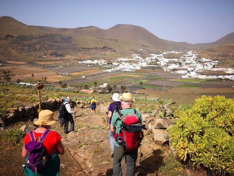 Lanzarote: Northern Cliffs & Valleys Walking Tour - Important Information