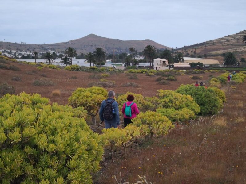 Lanzarote: Northern Cliffs & Valleys Walking Tour - Pricing and Duration