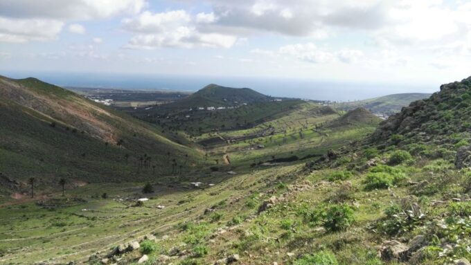 Lanzarote: Northern Cliffs & Valleys Walking Tour - Group Size and Difficulty