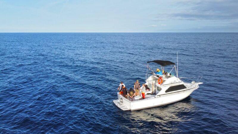 Lanzarote: Private Fishing Trip - Booking and Pricing