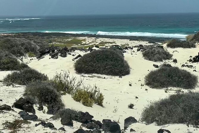 Lanzarote: Private Island Grand Tour - Inclusions