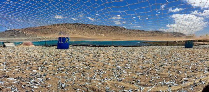 Lanzarote: Return Ferry to La Graciosa With Bus Pickup - Departure and Return Times