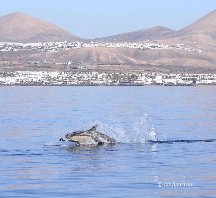 Lanzarote: Sea Safari Experience - Equipment