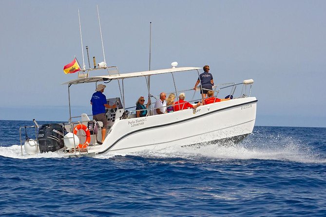Lanzarote Sea Safari From Puerto Calero - Accessibility Considerations