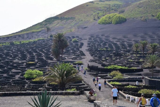 Lanzarote Shopping From Caleta De Fuste (Fuerteventura) - Inclusions and Exclusions