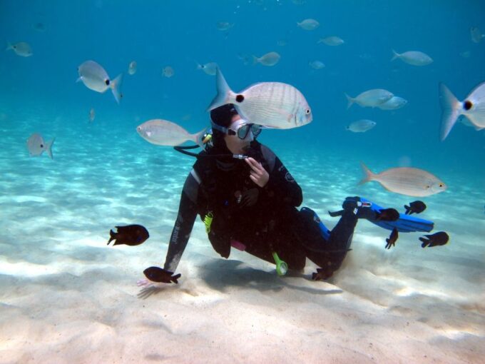 Lanzarote: Small Group Beginner Dive Course Costa Teguise - Exclusions and Limitations