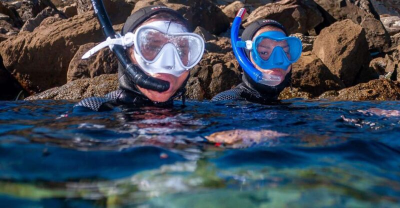 Lanzarote: Snorkel Guided Tour in Papagayo. - Snorkeling Equipment and Duration