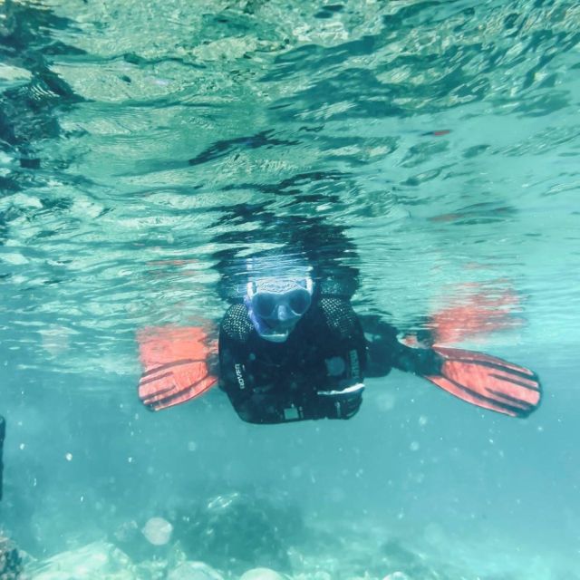Lanzarote: Snorkel Guided Tour in Papagayo. - Marine Biodiversity and Briefing