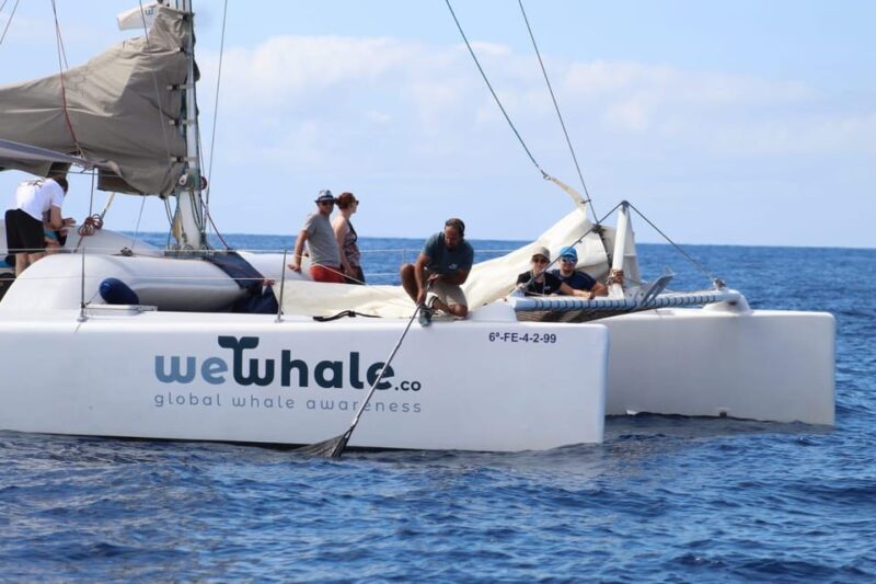Lanzarote Sunset Experience With Dolphin Spotting - Dolphin Spotting