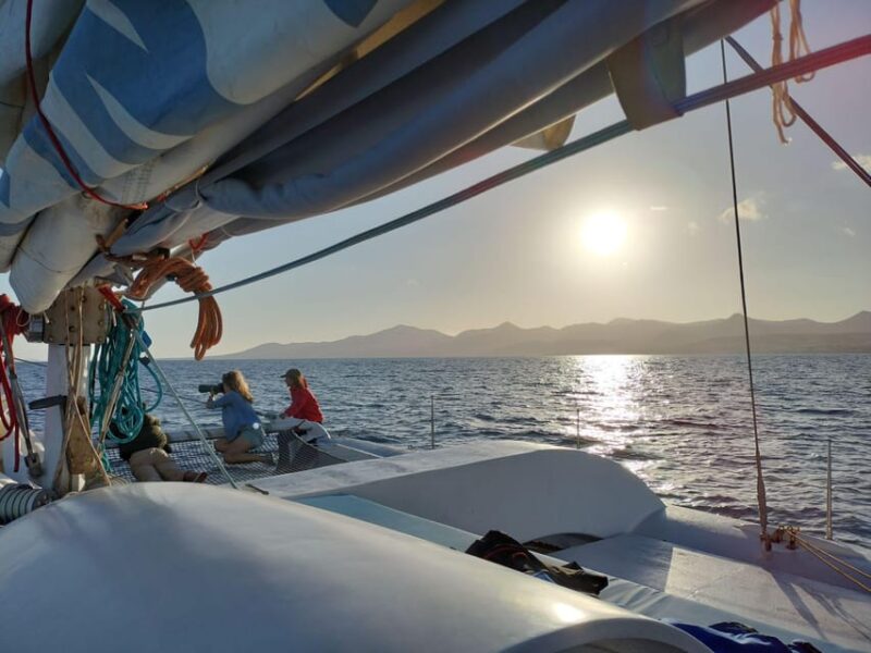 Lanzarote Sunset Experience With Dolphin Spotting - Onboard Experience