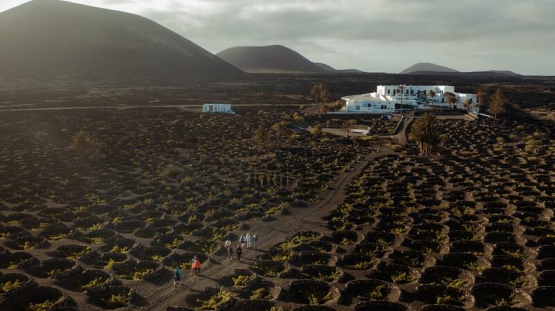 Lanzarote: Sunset Vineyard Tour With Wine and Chocolate Tasting - Scenic Experience